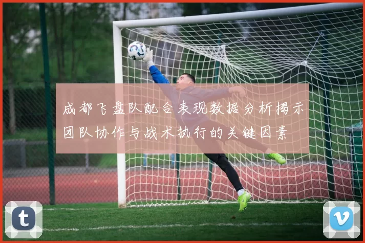 成都飞盘队配合表现数据分析揭示团队协作与战术执行的关键因素