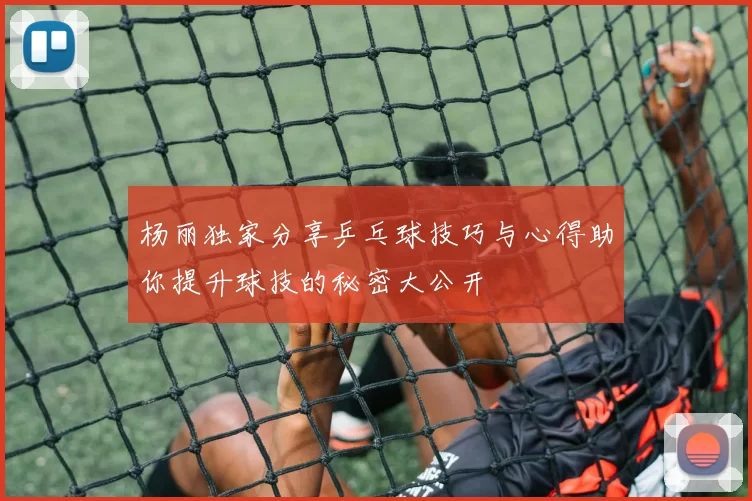 杨丽独家分享乒乓球技巧与心得助你提升球技的秘密大公开