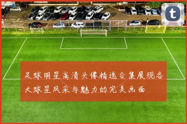 足球明星高清头像精选合集展现各大球星风采与魅力的完美画面