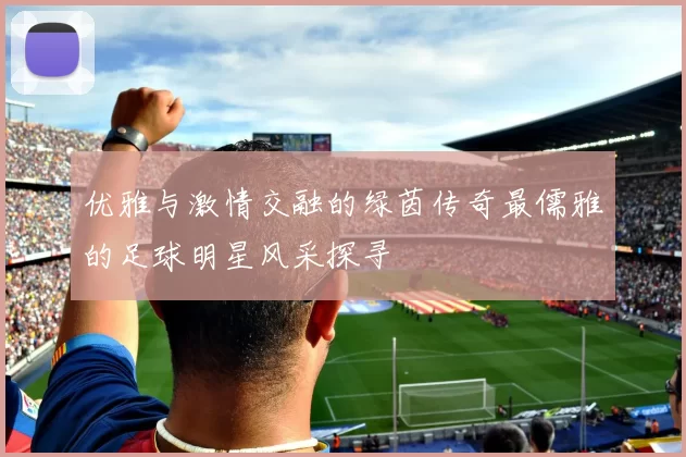优雅与激情交融的绿茵传奇最儒雅的足球明星风采探寻
