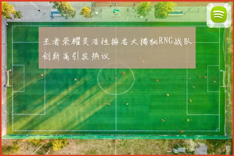 王者荣耀灵活性排名大揭秘RNG战队创新高引发热议