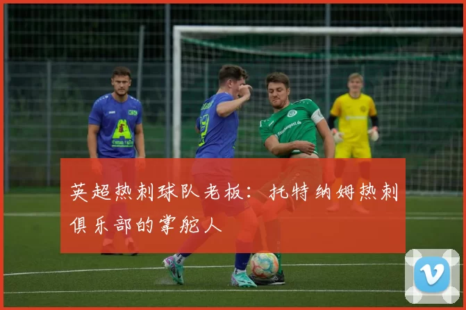 英超热刺球队老板：托特纳姆热刺俱乐部的掌舵人
