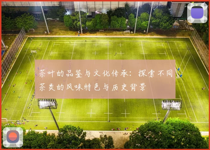 茶叶的品鉴与文化传承：探索不同茶类的风味特色与历史背景