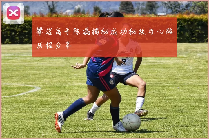 攀岩高手陈磊揭秘成功秘诀与心路历程分享