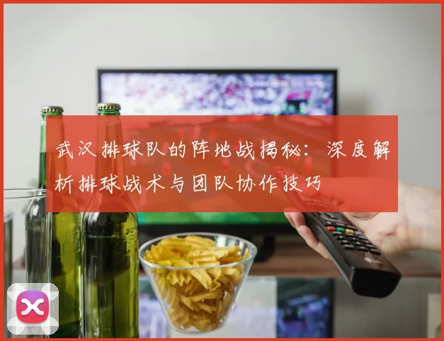 武汉排球队的阵地战揭秘：深度解析排球战术与团队协作技巧