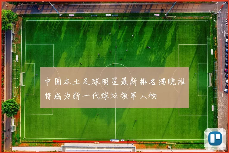 中国本土足球明星最新排名揭晓谁将成为新一代球坛领军人物