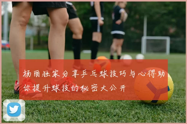 杨丽独家分享乒乓球技巧与心得助你提升球技的秘密大公开