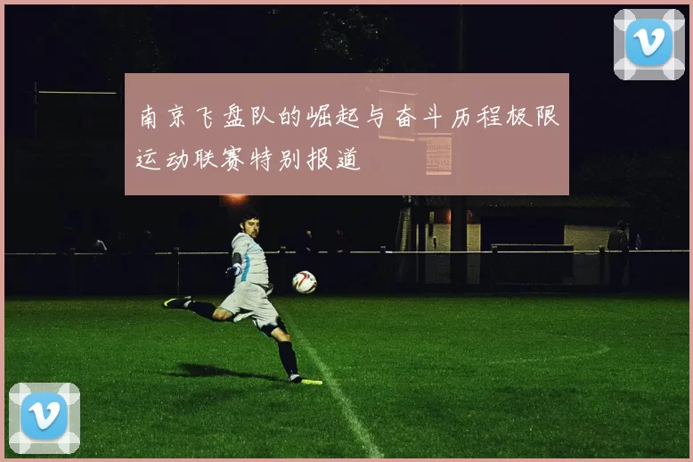 南京飞盘队的崛起与奋斗历程极限运动联赛特别报道