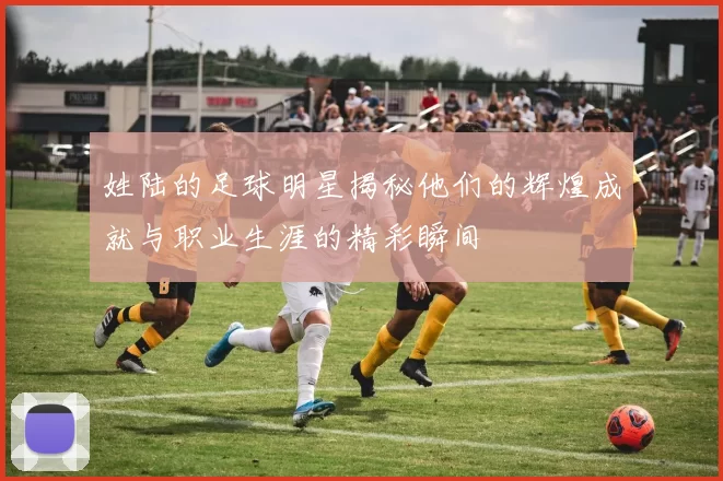 姓陆的足球明星揭秘他们的辉煌成就与职业生涯的精彩瞬间