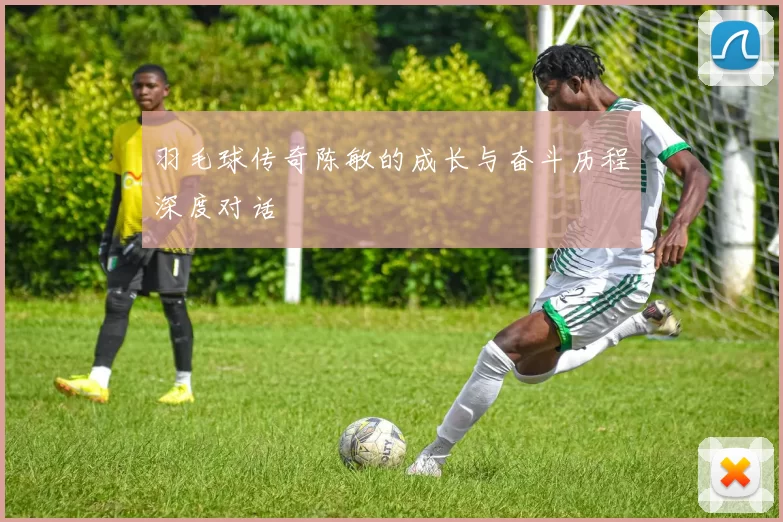 羽毛球传奇陈敏的成长与奋斗历程深度对话