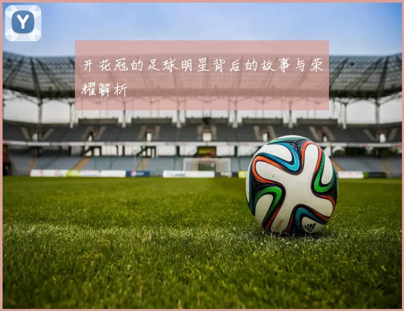开花冠的足球明星背后的故事与荣耀解析