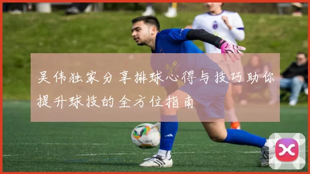 吴伟独家分享排球心得与技巧助你提升球技的全方位指南