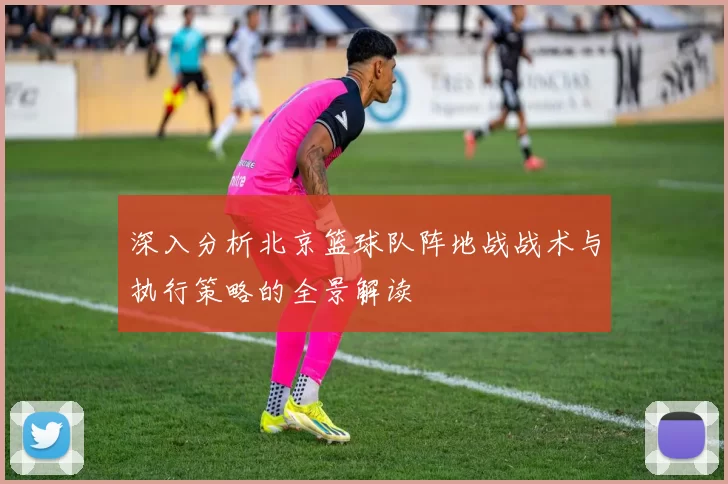 深入分析北京篮球队阵地战战术与执行策略的全景解读