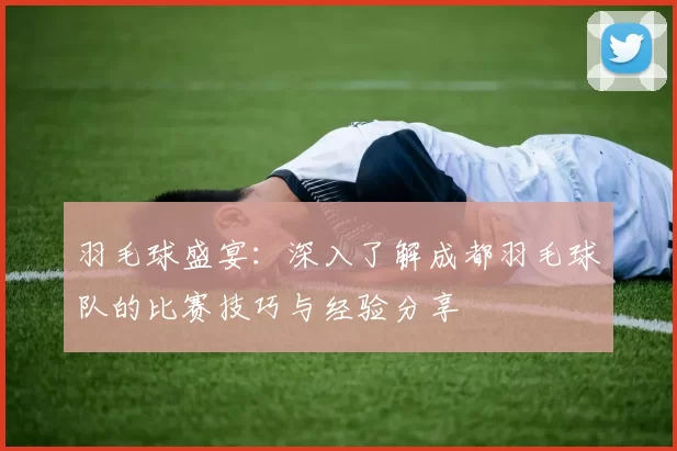 羽毛球盛宴：深入了解成都羽毛球队的比赛技巧与经验分享