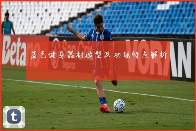 蓝色健身器材造型及功能特点解析