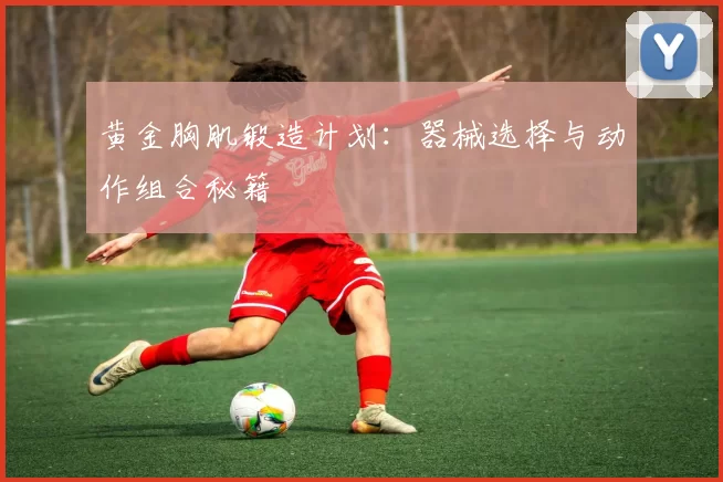 黄金胸肌锻造计划：器械选择与动作组合秘籍