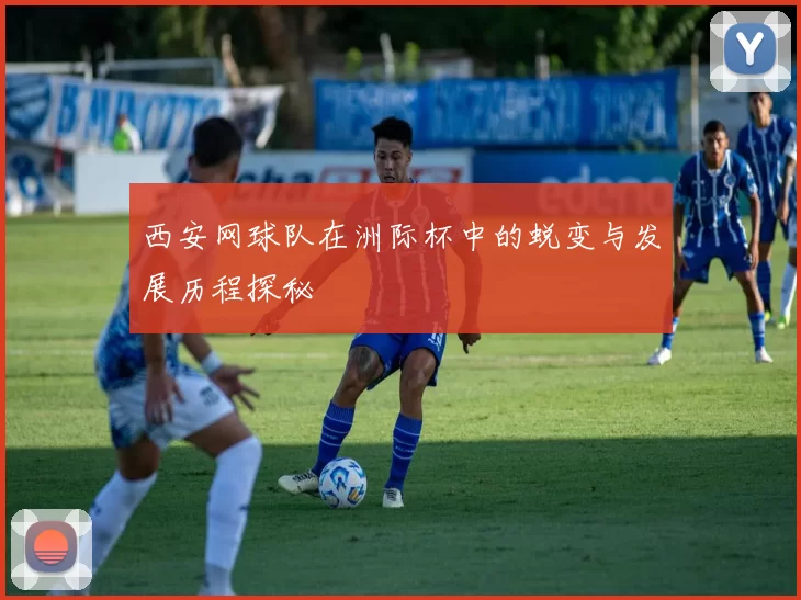 西安网球队在洲际杯中的蜕变与发展历程探秘