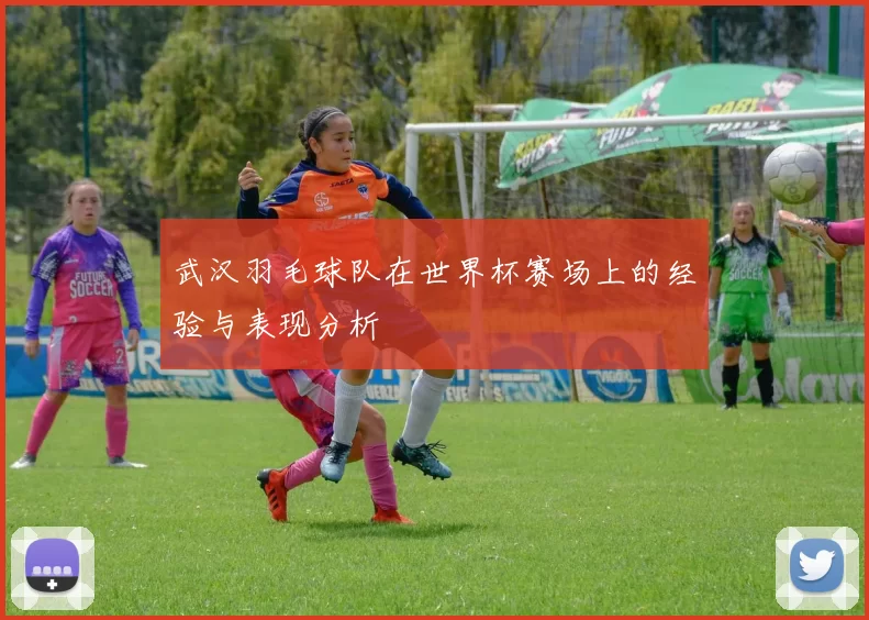 武汉羽毛球队在世界杯赛场上的经验与表现分析