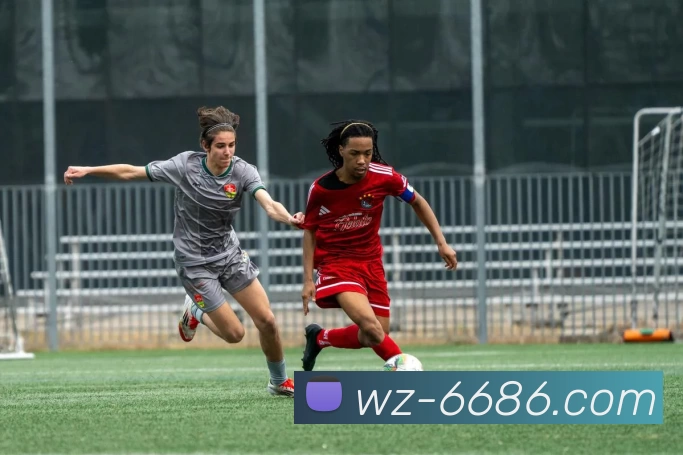 6686体育平台生态图